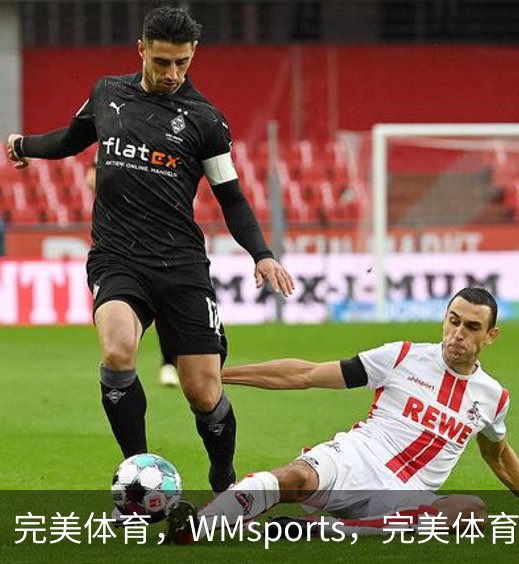 完美体育，WMsports，完美体育官方，完美体育平台，完美体育下载概况